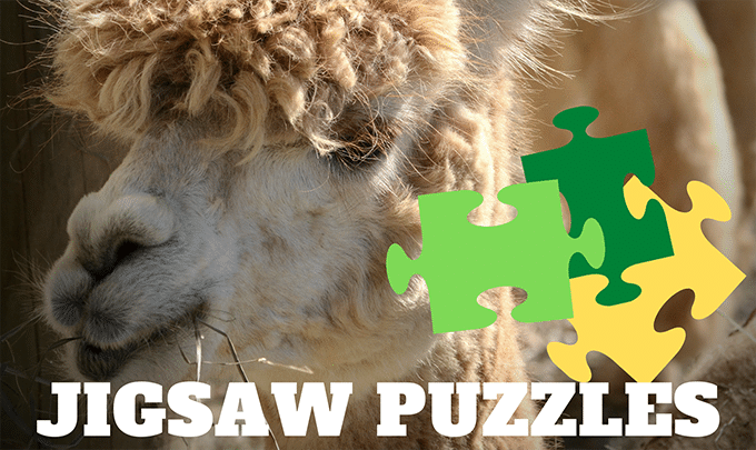 Virtual Jigsaw Puzzles