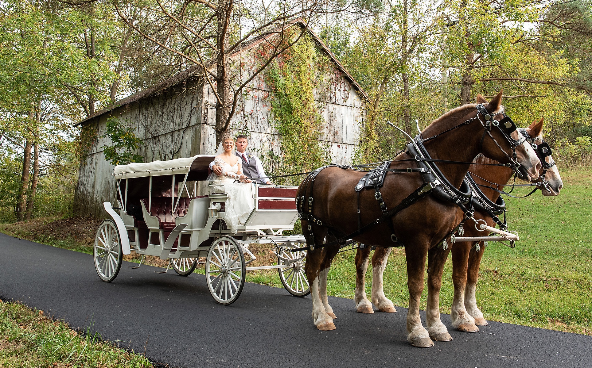 Valley View Farm Venue - Horse and Wagon