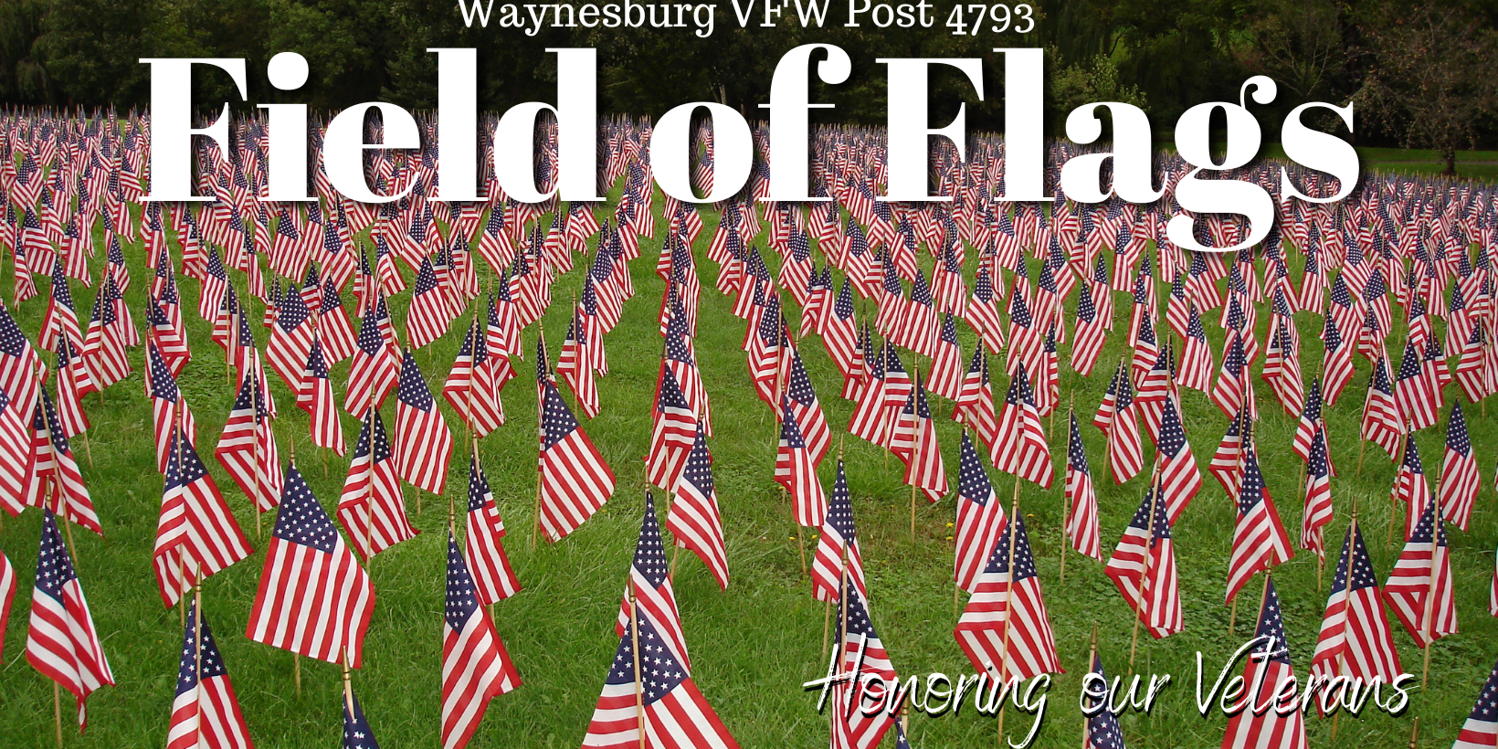 Field of Flags