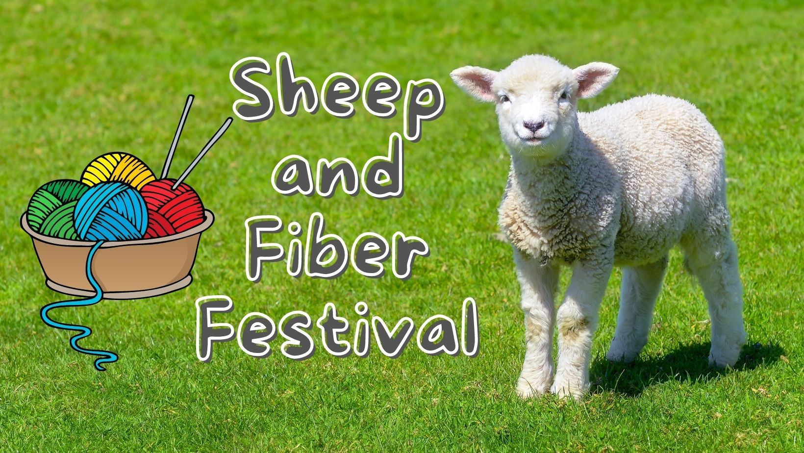 Sheep And Wool Festival 2024 Schedule Nicol Jessalyn