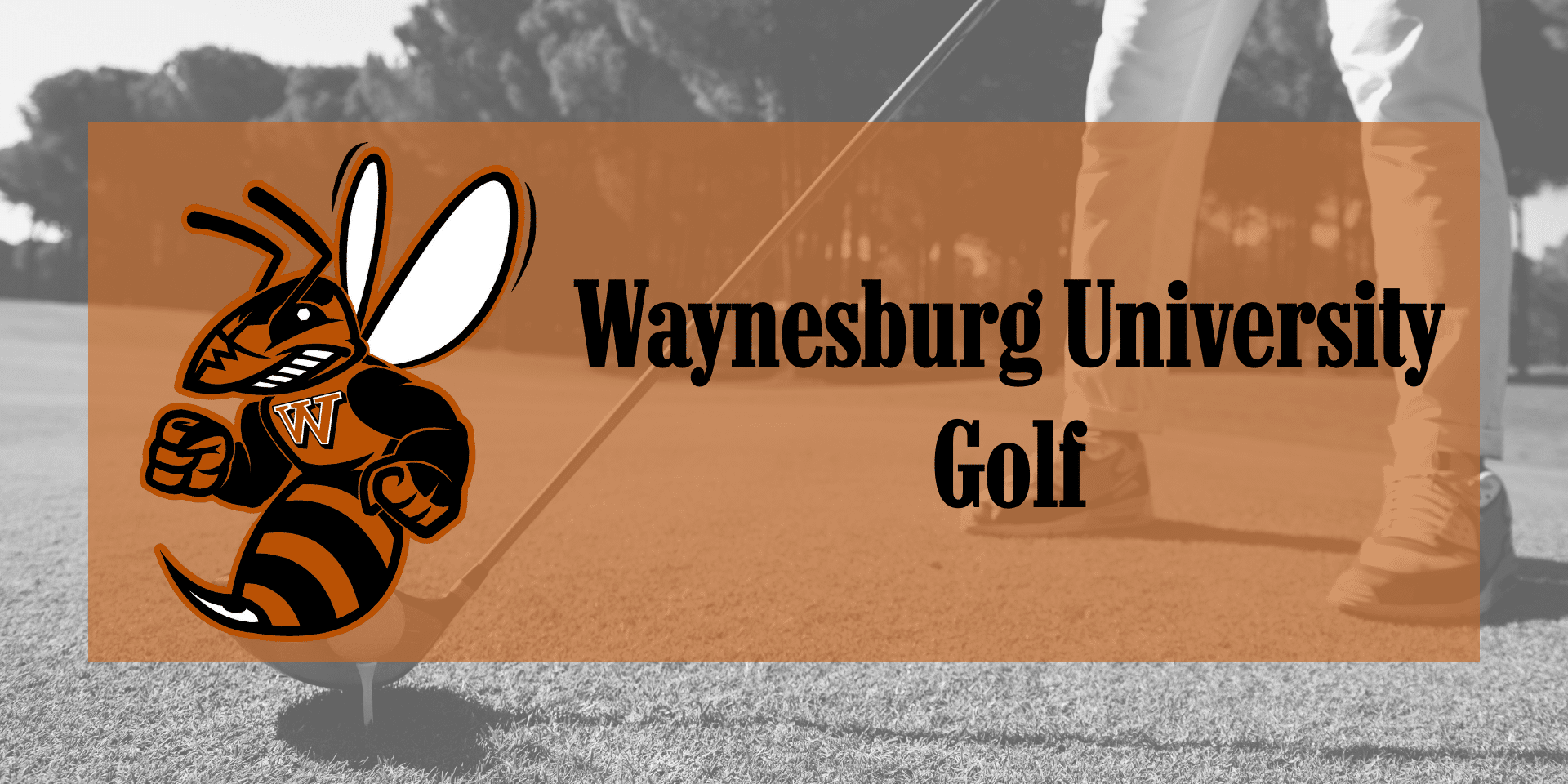 Banner for Waynesburg University Golf featuring the university’s hornet mascot with a “W” on its chest next to the text “Waynesburg University Golf,” over a background photo of a golfer addressing a ball on a tee.