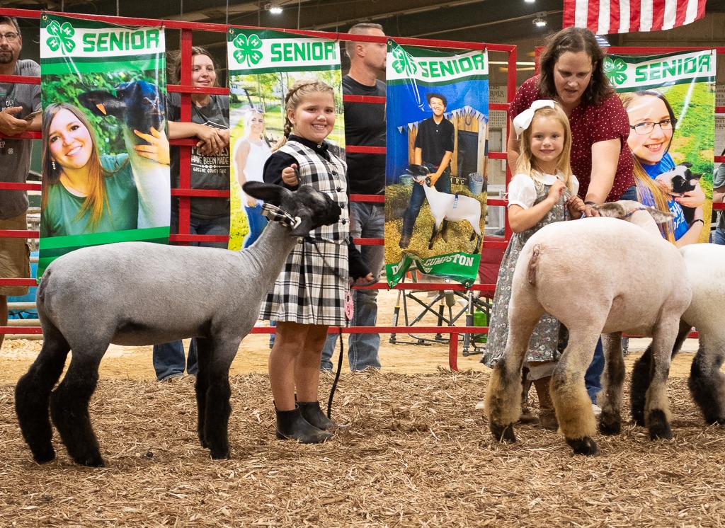 Lead Line Competition at the Greene County Fair