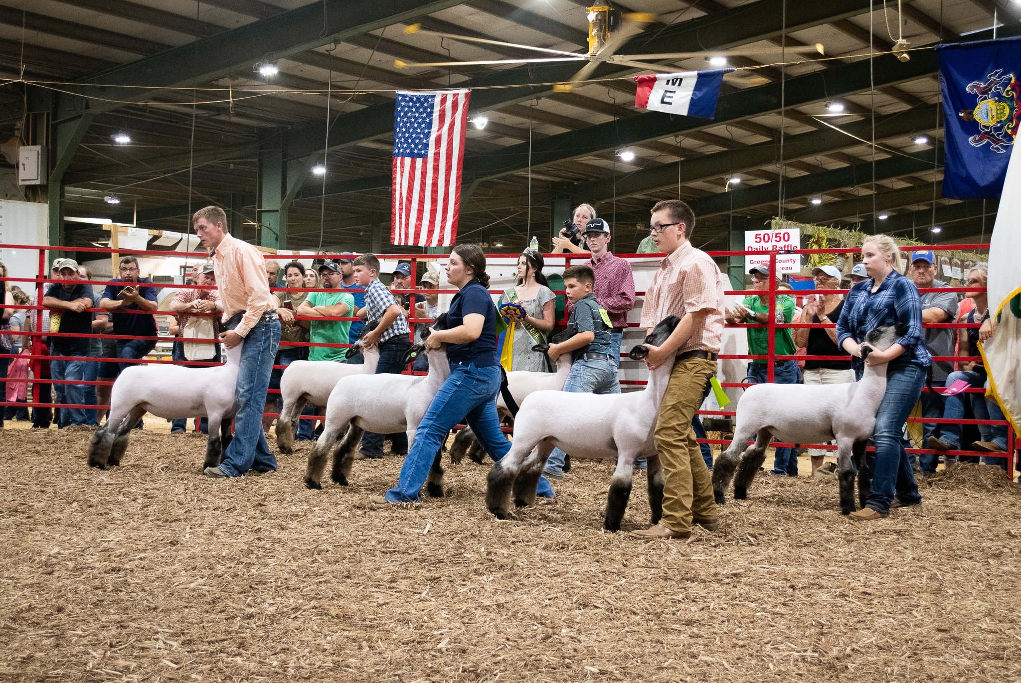 4-H and FFA Market Lamb Show at the Greene County Fair
