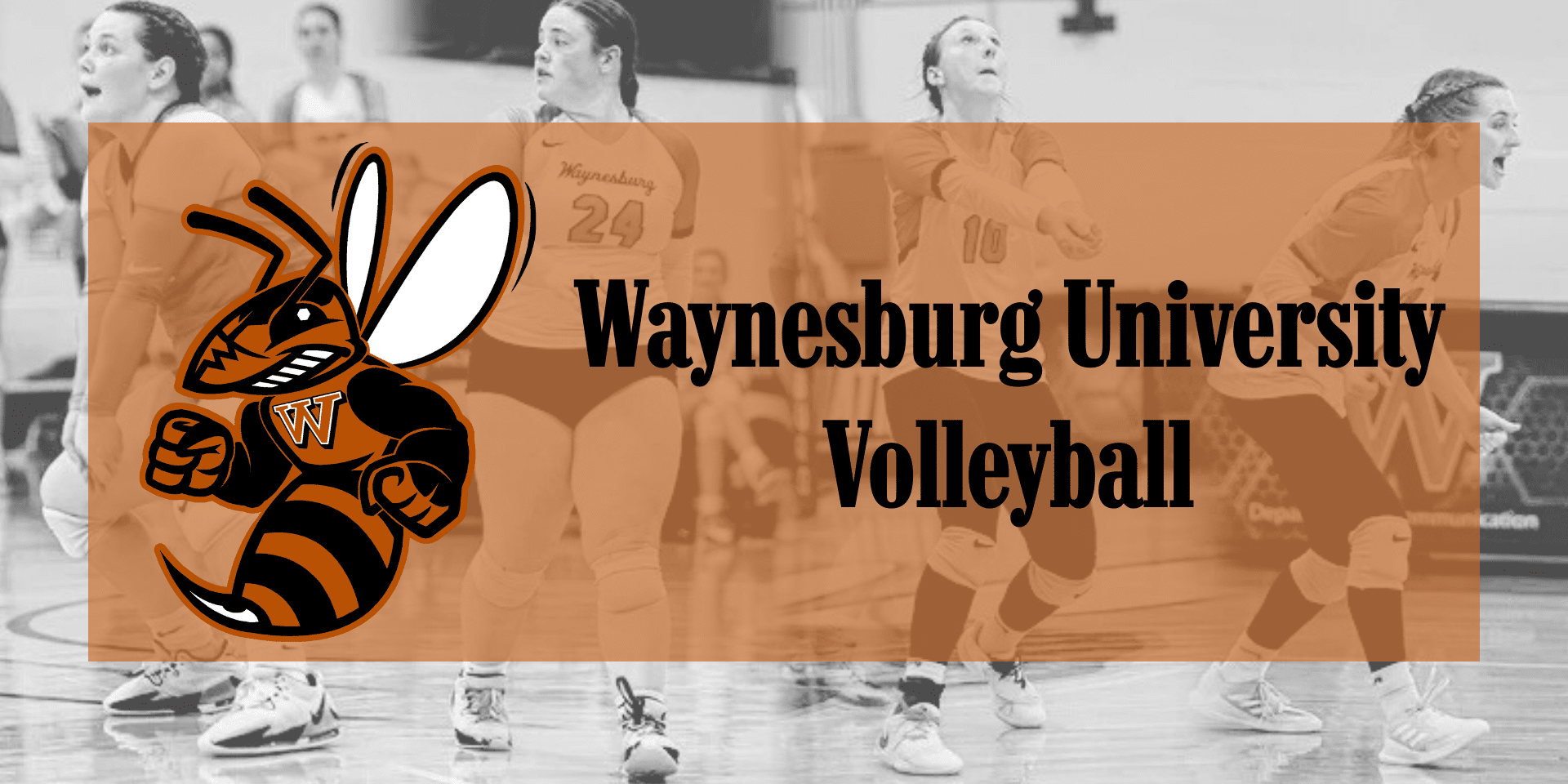 Banner for Waynesburg University Volleyball featuring the university’s hornet mascot and the text “Waynesburg University Volleyball,” over a background photo of players in volleyball uniforms preparing to receive a serve on the court.
