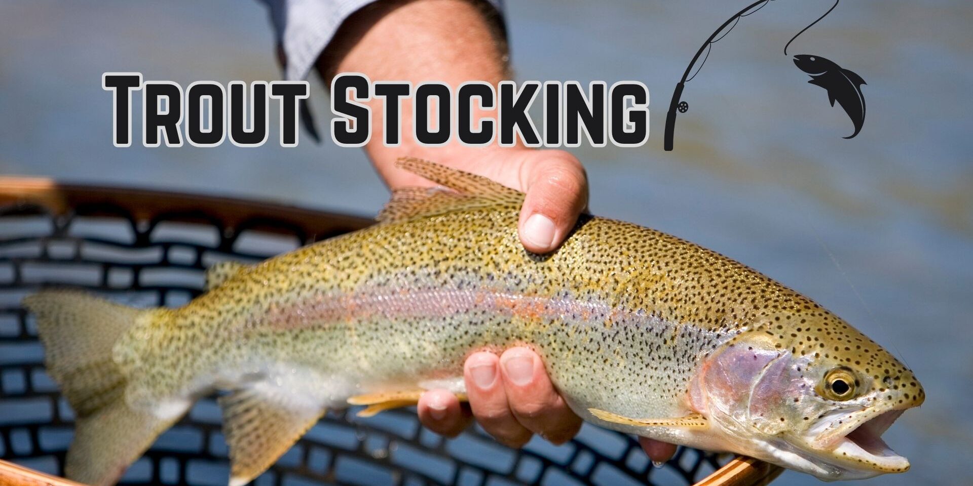 Trout Stocking Visit Greene County