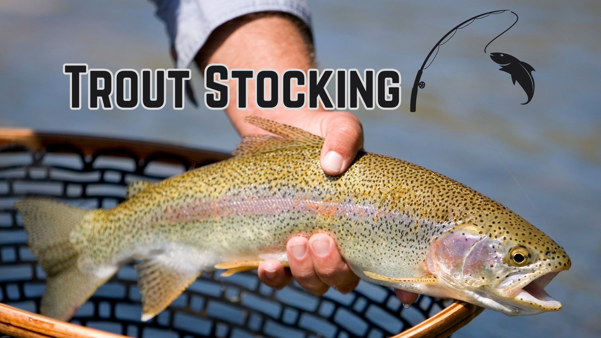 Trout Stocking - Visit Greene County