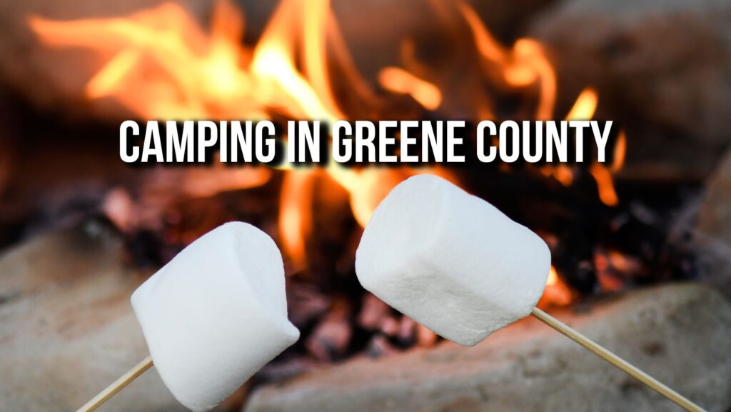 Camping in Greene County, Marshmallows roasting over a fire.