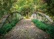 A narrow, weathered metal bridge with decorative railings spans a wooded area, surrounded by dense green trees and foliage. The dirt path across the bridge is scattered with fallen leaves, creating a quiet, rustic outdoor setting