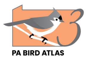 PA Bird Atlas 3 logo