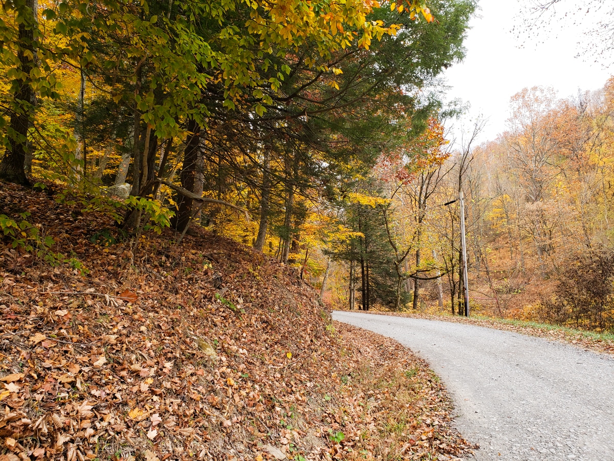 Photograph of road below Crow Rock in Greene County, Pennsylvania.