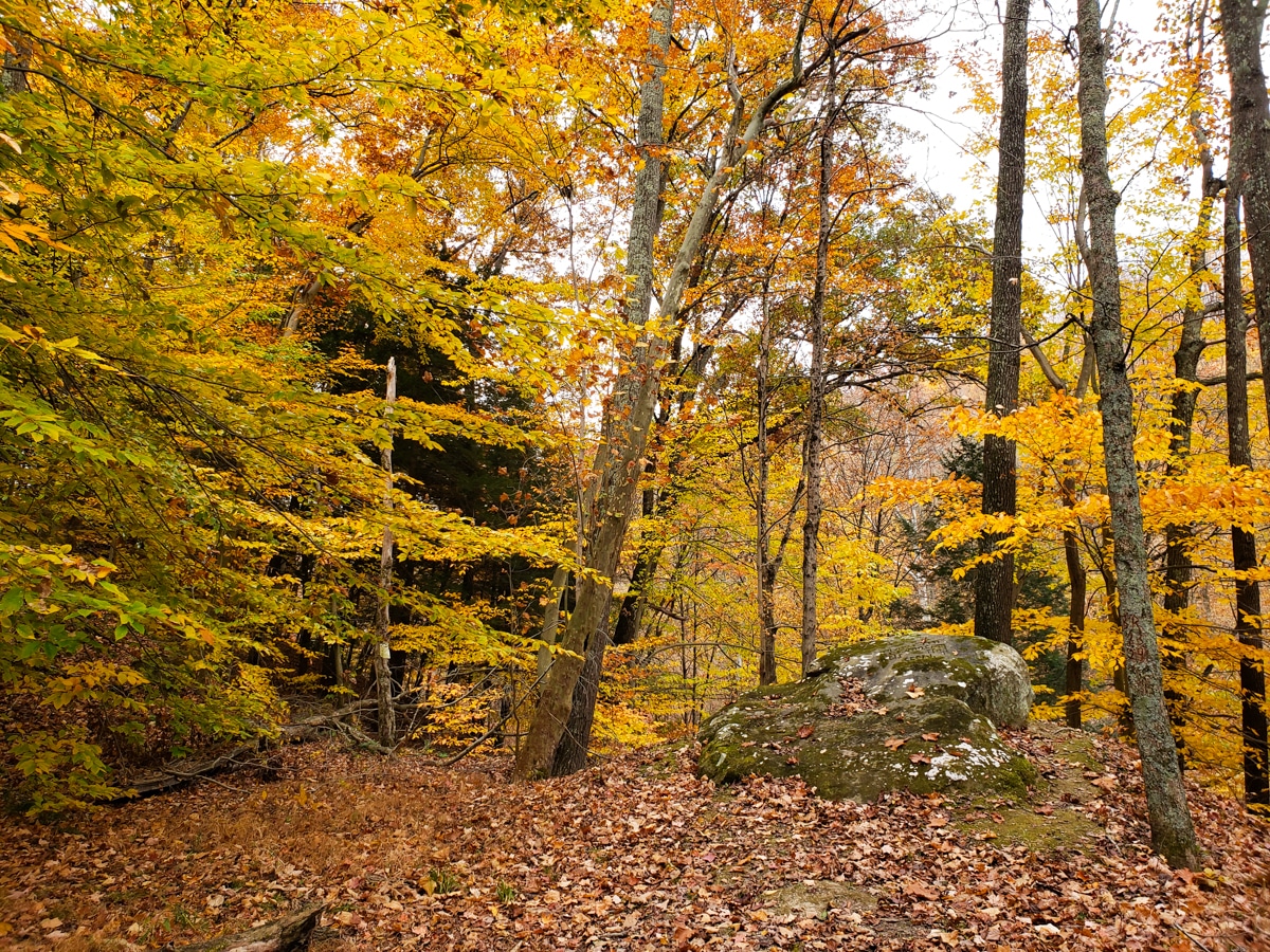 Photograph of Crow Rock in Greene County, Pennsylvania.