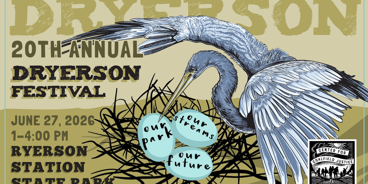 Promotional poster for the 20th Annual Dryerson Festival featuring an illustrated heron over a nest with blue eggs labeled 'our park,' 'our streams,' and 'our future.' Event takes place June 27, 2026, from 1:00–4:00 PM at Ryerson Station State Park.